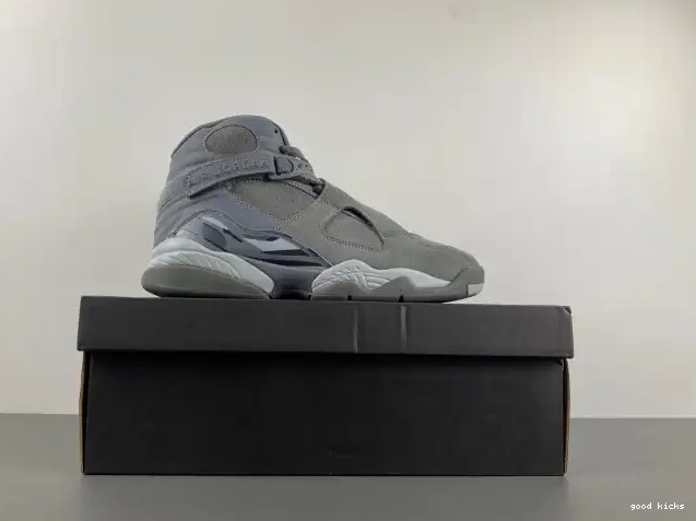 Rep 305381-014 Grey Retro Jordan 8 Cool 0608